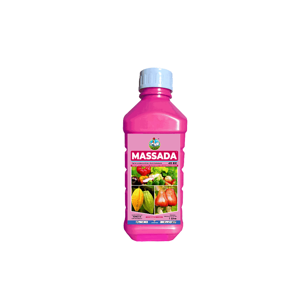MASSADA